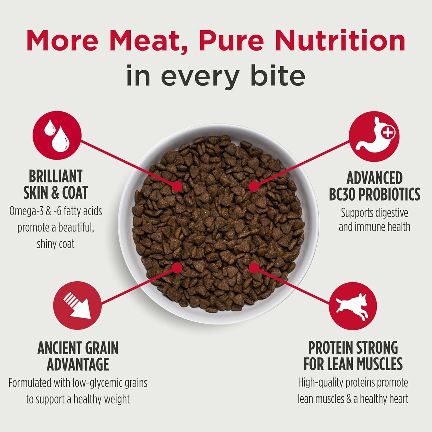 Frontrunner Ancient Grains High-Protein Dog Food, Pork, Barley, & Beef Recipe- Natural Dry Dog Food with Probiotics, Grain-Inclusive Kibble for Adult Dogs, 25 Lb Bag