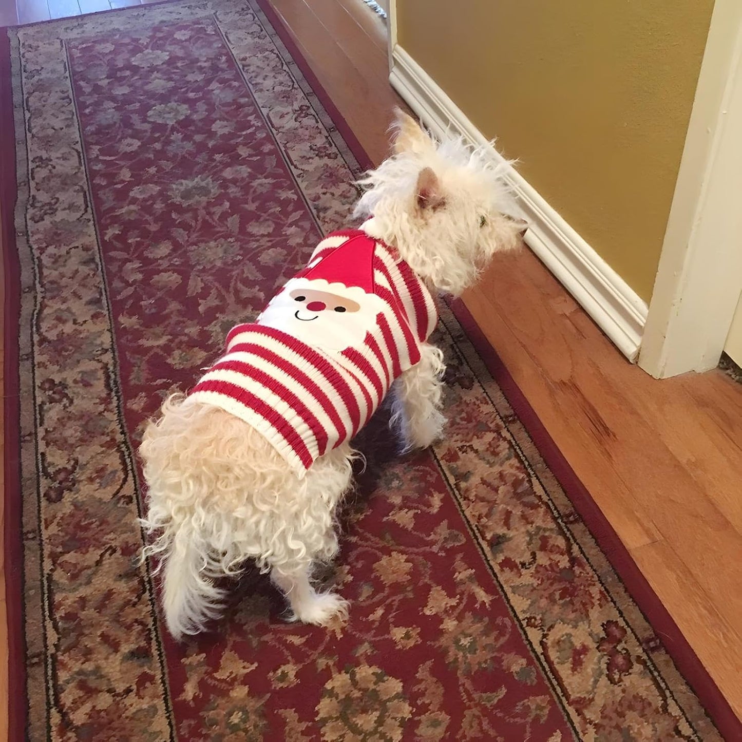 Santa Claus Sweater (Large) Acrylic Christmas Pet Apparel for Small to Medium Dogs and Cats - Adjustable, Easy to Clean, Thematic