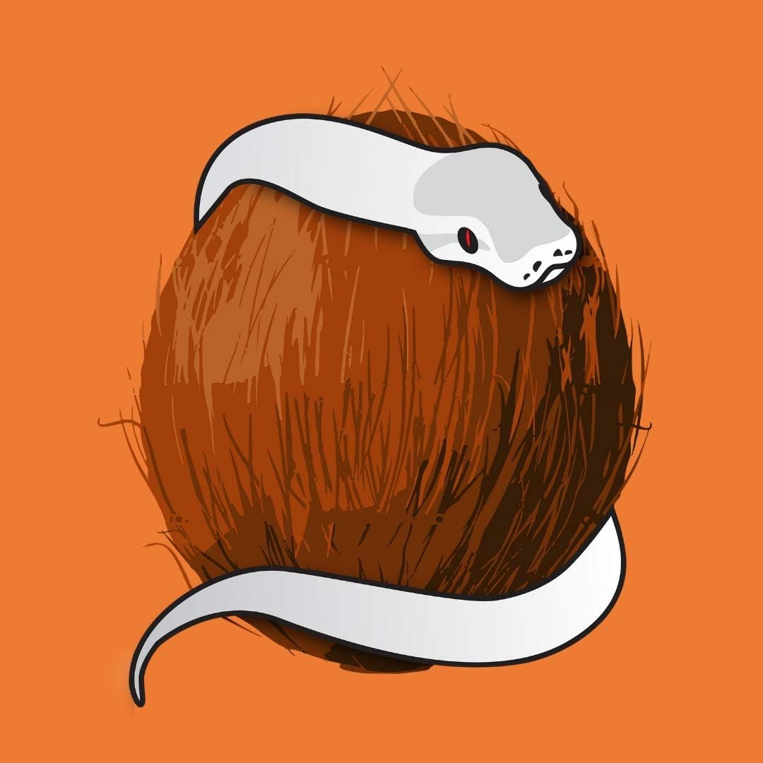 Reptichip Reptile Bedding Loose Coconut Chip 12 Quart 2 Pack Coco Husk Substrate Mulch for Snake Habitat, Ball Python Terrarium, Turtle Tanks, Tortoise Enclosure