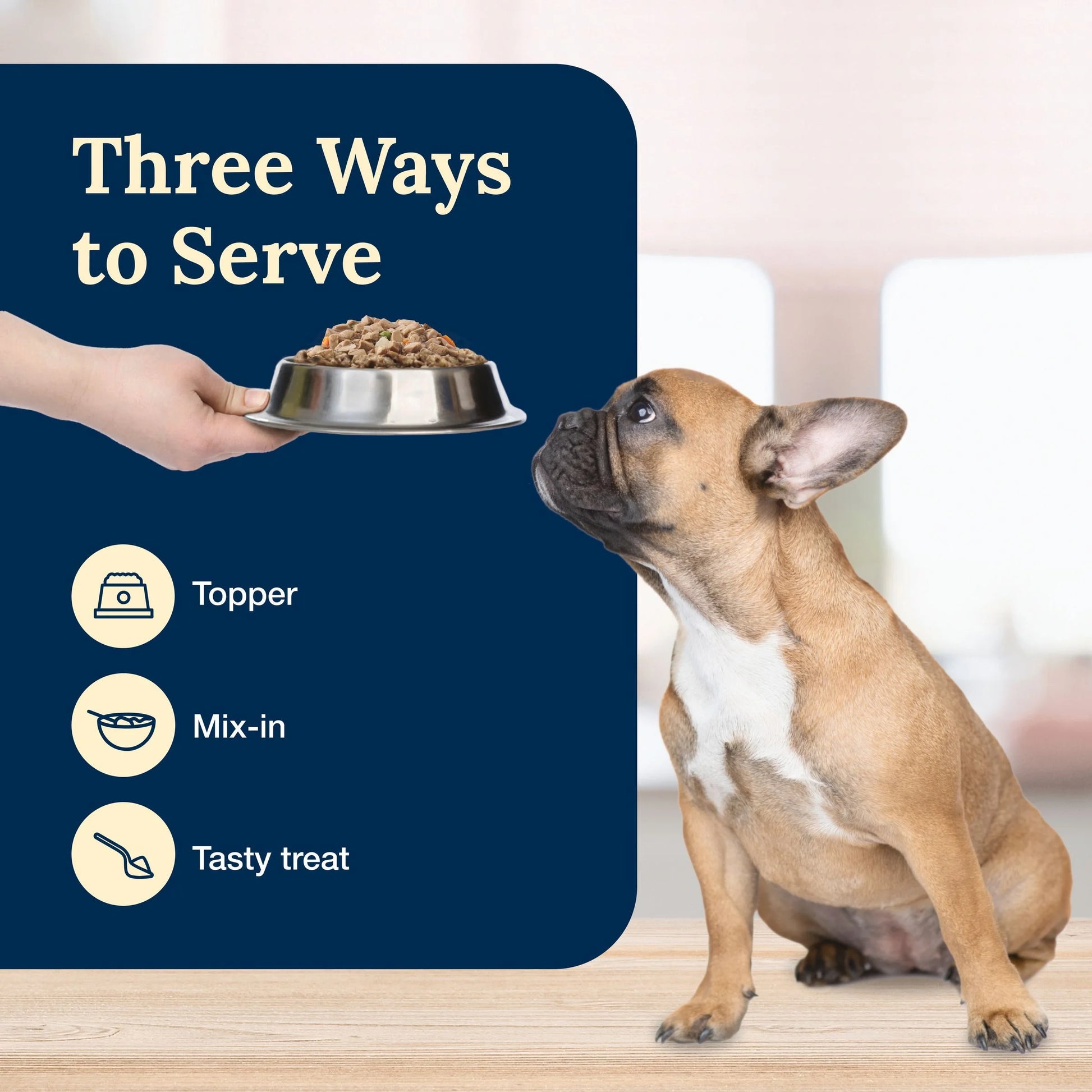 Delectables Natural Wet Dog Food Toppers, Hearty Beef, 3-Oz Pouch