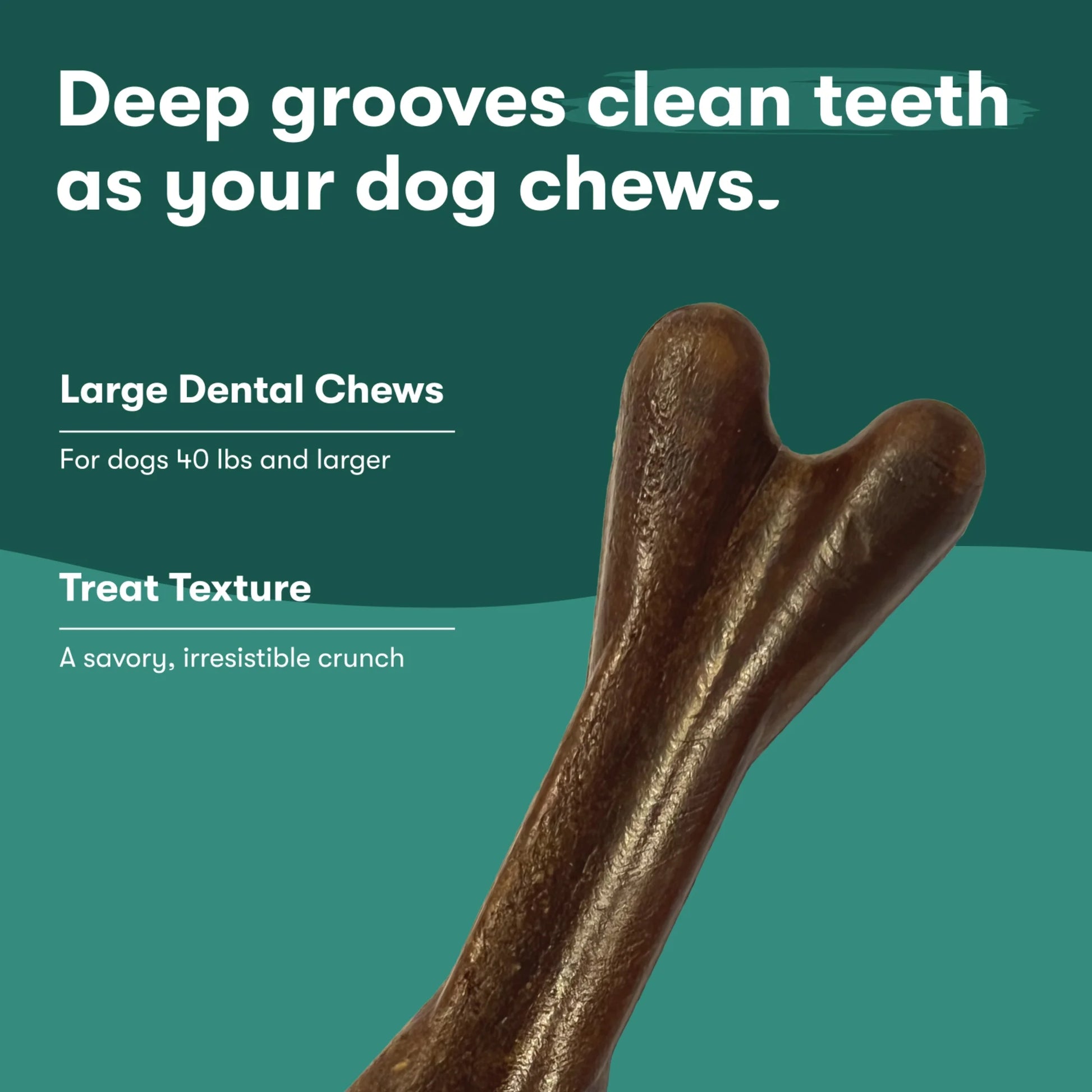 Chicken Flavor Dry Dental Treats for Large Dogs, 8.2 Oz Bag, 4 Treats