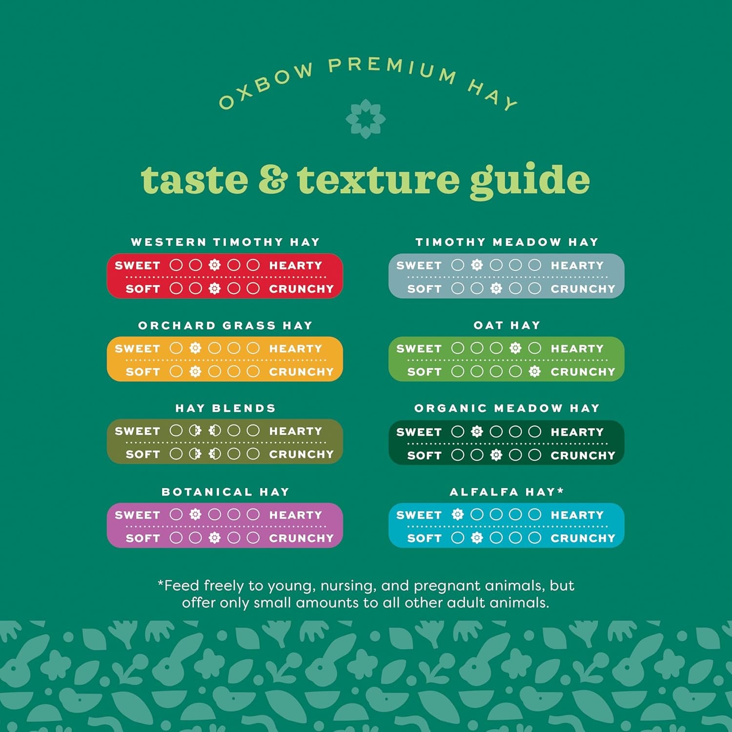 Animal Health Western Timothy Hay, Guinea Pig Hay, Small Pet Bunny Supplies, All Natural Grass for Guinea Pig, Bunny, Chinchilla & Hamster,  Rabbit Supplies for Bunnies, 9 Lb Box