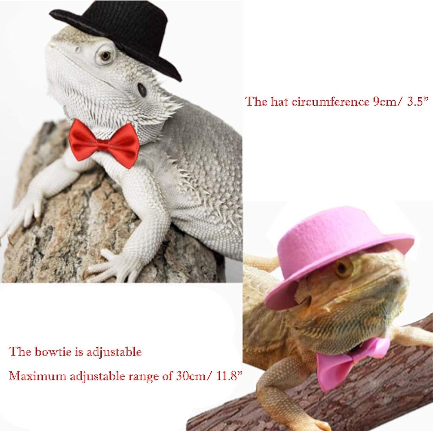 2PCS Valentine'S Day Bearded Dragon Lizard Hat and Bowtie Reptile Black Hat with Bow Tie Cool Pet Cap Small Animal Outfit Suit Cosplay Sculpt (Black)