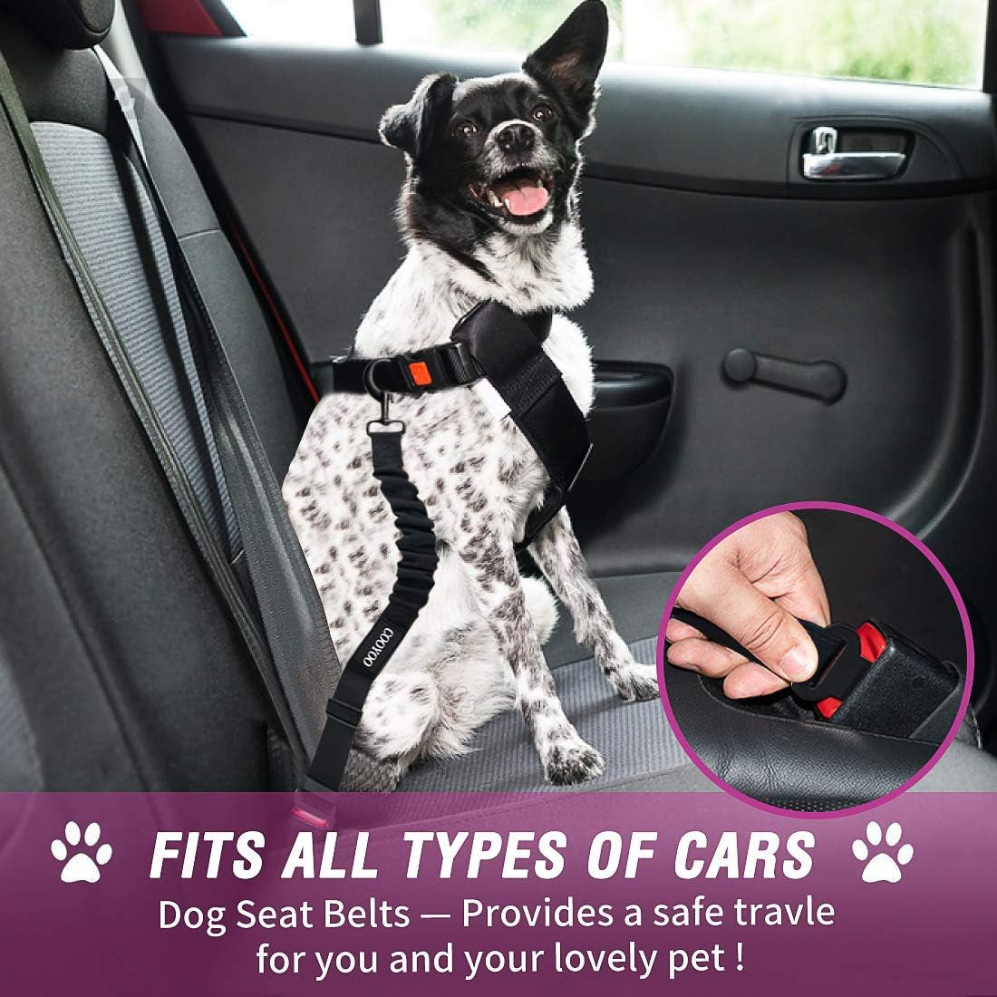 Dog Seat Belt,3 Piece Set Retractable Dog Car Adjustable Seatbelts for Vehicle Nylon Pet Safety Heavy Duty & Elastic & Durable Car Harness for Dogs