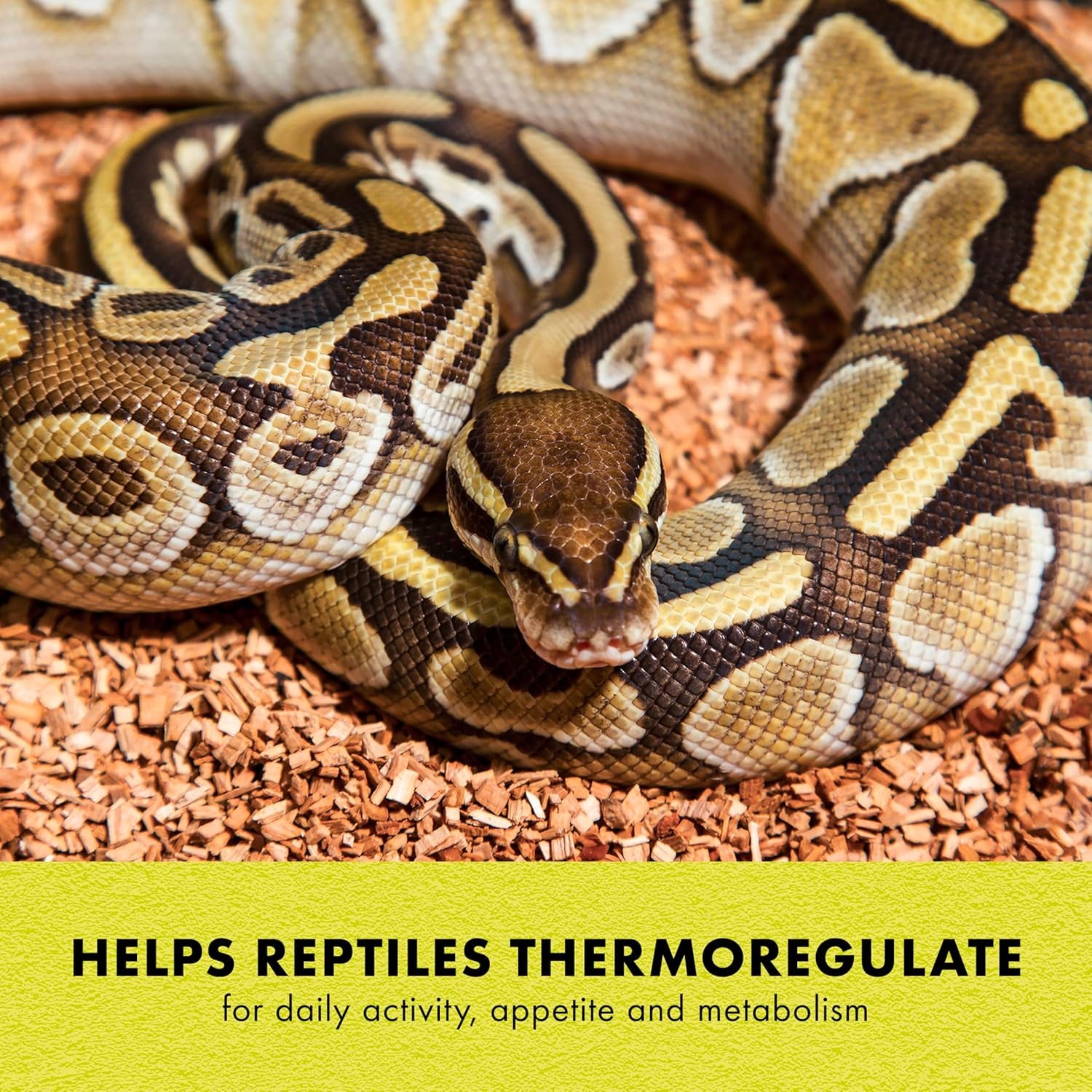 Heat Mat, Terrarium Heater for Reptiles, Snakes (Ball Pythons, Corn Snakes), Leopard Geckos, Tortoises, Amphibians and Arachnids, Medium, Fits 30-40 Gallon, 16 Watt