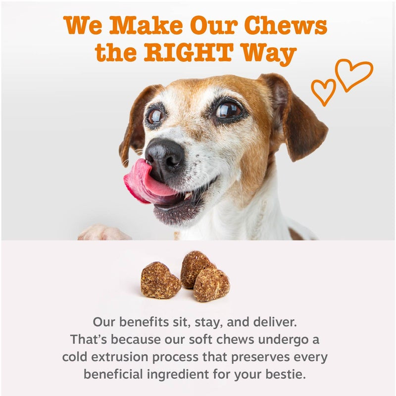 Senior Advanced Probiotic Bites for Dogs, for Gut & Digestive Health, Chicken Flavor 90 Ct Soft Chews