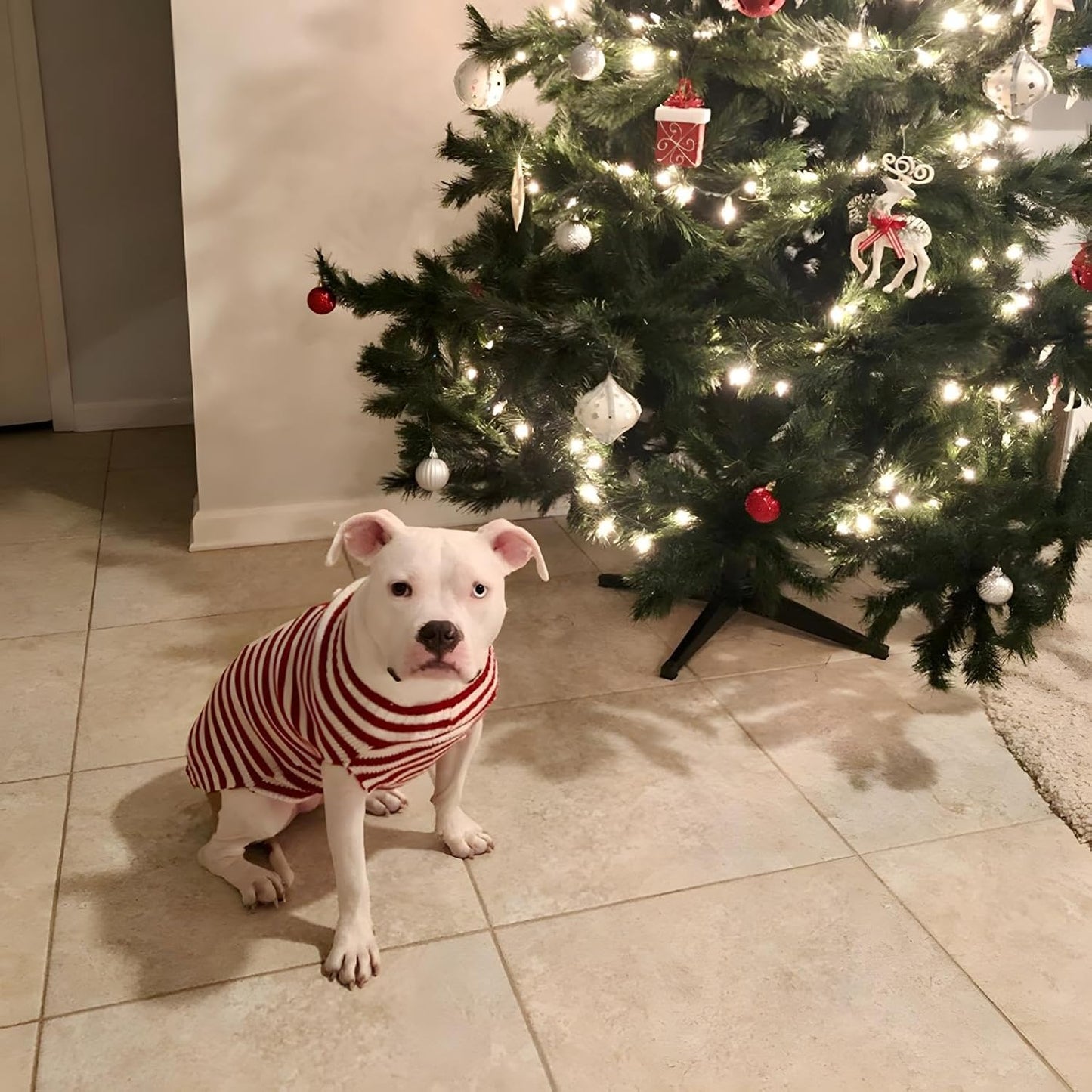 Santa Claus Sweater (Large) Acrylic Christmas Pet Apparel for Small to Medium Dogs and Cats - Adjustable, Easy to Clean, Thematic