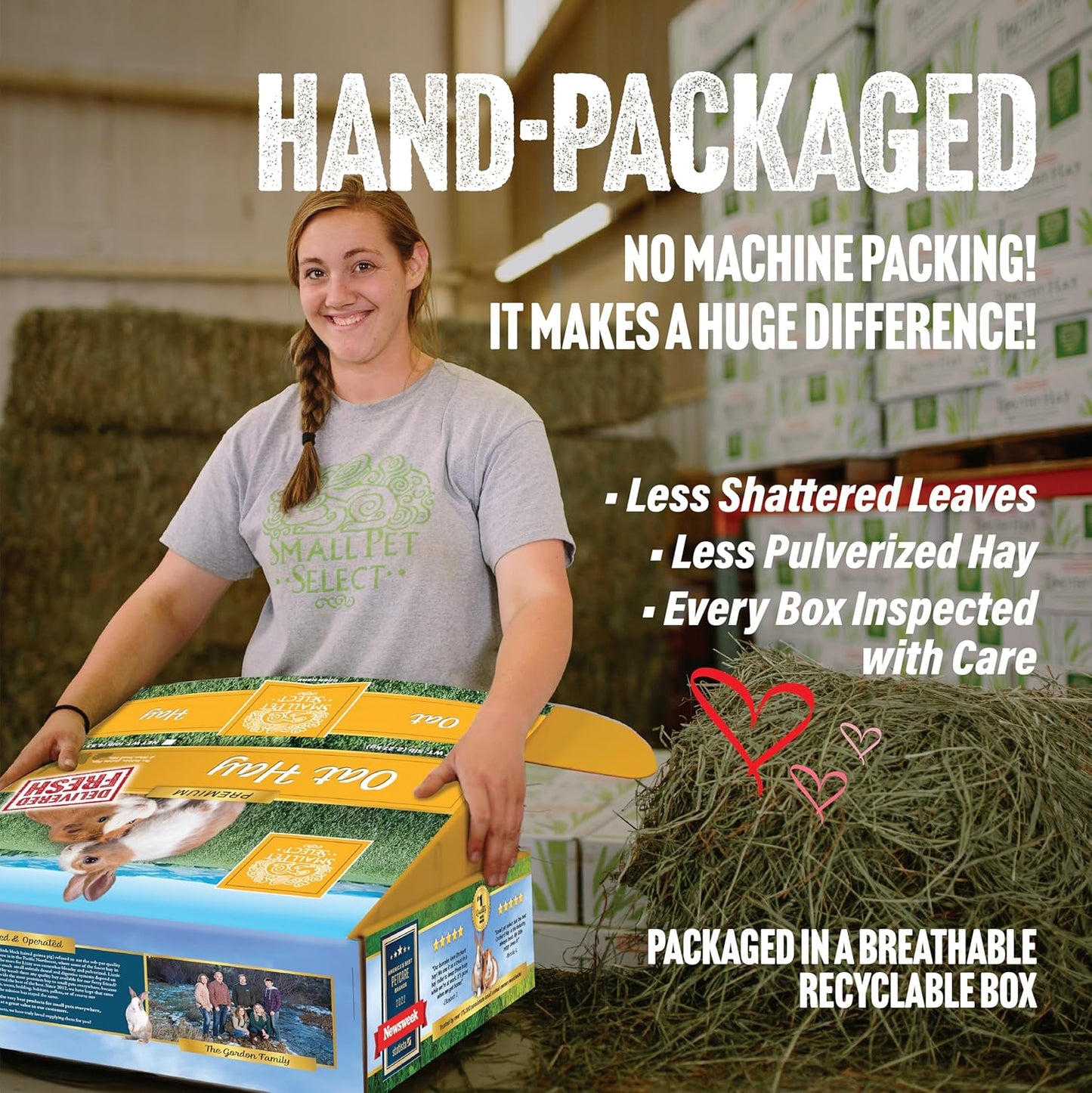 Oat Hay Pet Food, 10 Lb.