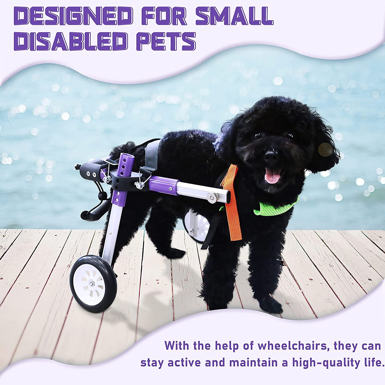 Adjustable Dog Wheelchair for Back Legs,Pet/Doggie Doggy Wheelchairs with Disabled Hind Legs Walking (XS-A)