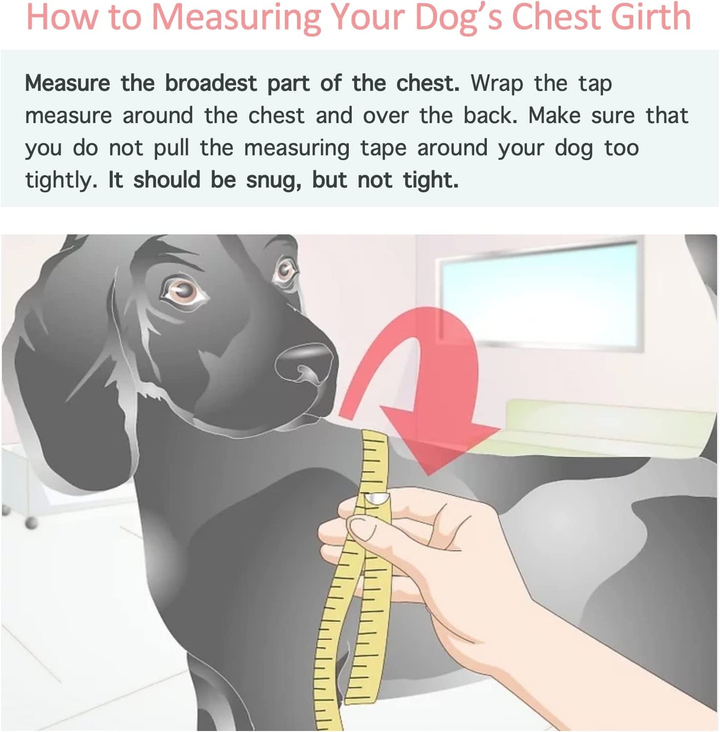 Stylish Dog Hoodie Dog Clothes Streetwear Cotton Sweatshirt Fashion Outfit for Dogs Cats Puppy Small Medium Large (XL, White)