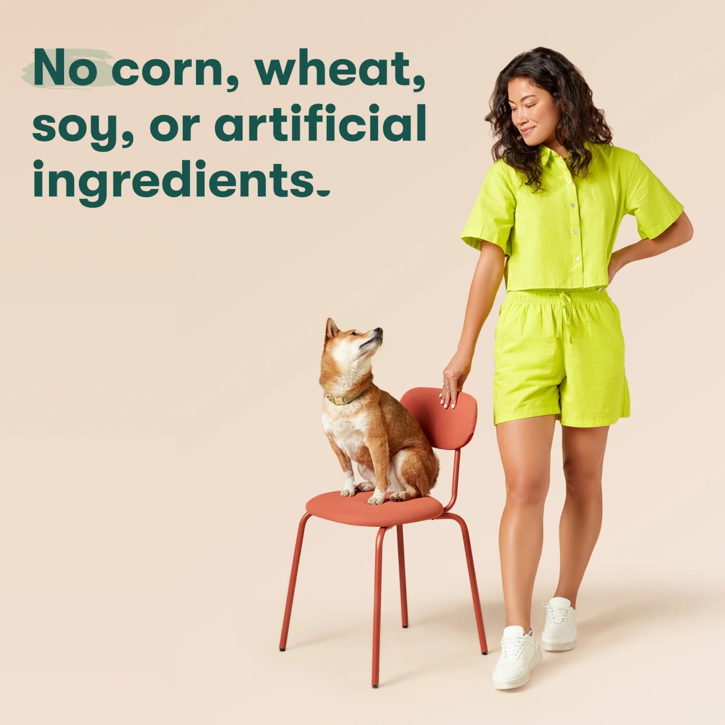 Chicken Flavor Dry Dental Treats for Medium Dogs, 8.8 Oz Bag, 7 Treats