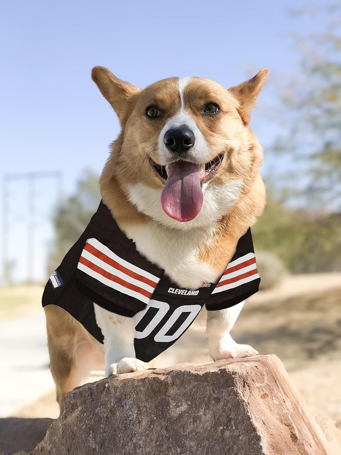 NFL Cleveland Browns Dog Jersey - Medium, Football Jersey Costume for Dogs