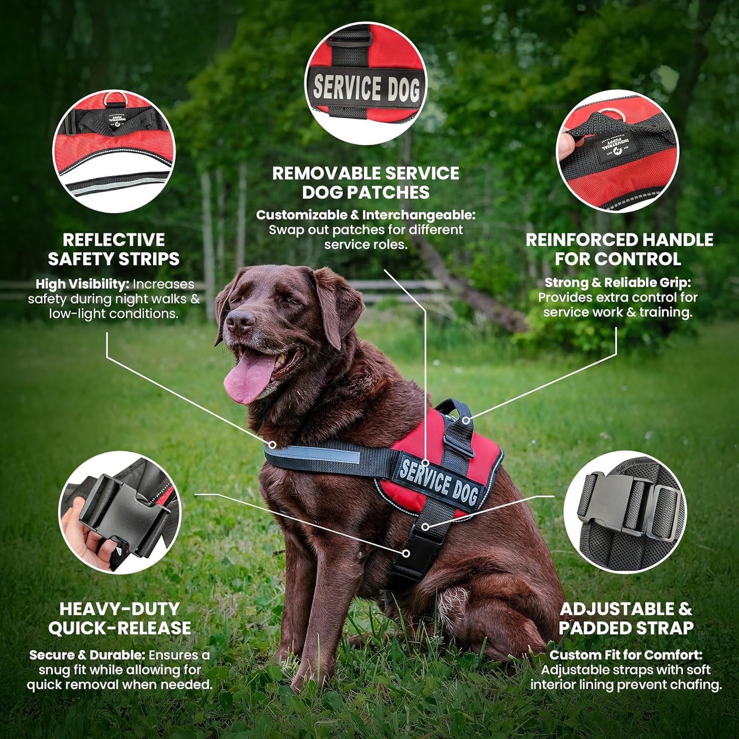 Service Dog Vest with Hook and Loop Straps and Matching Service Dog Leash Set - Harnesses from XXS to XXL - Harness Features Reflective Patch and Comfortable Mesh Design