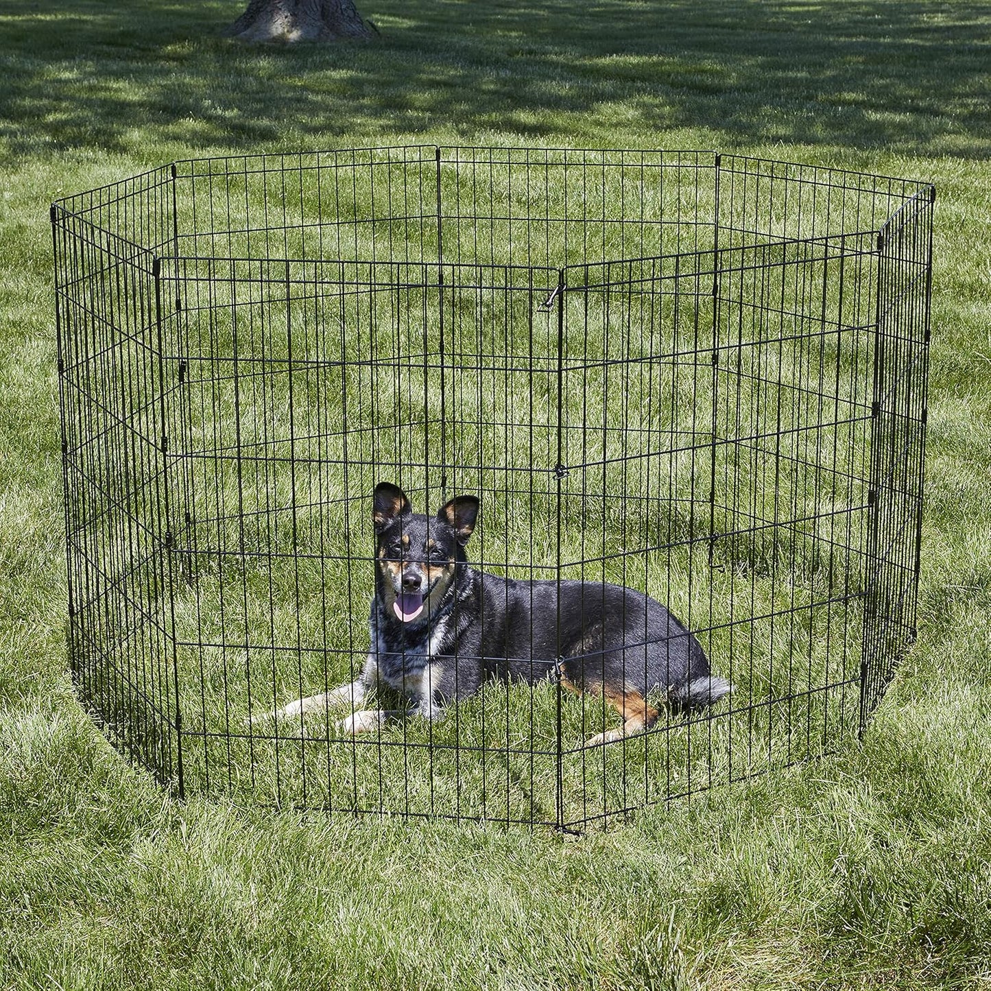 Dog Exercise Pen & Playpen, 24" W X 36" H, No Door, Black