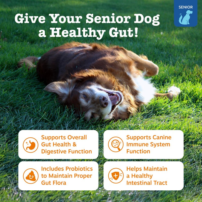 Senior Advanced Probiotic Bites for Dogs, for Gut & Digestive Health, Chicken Flavor 90 Ct Soft Chews
