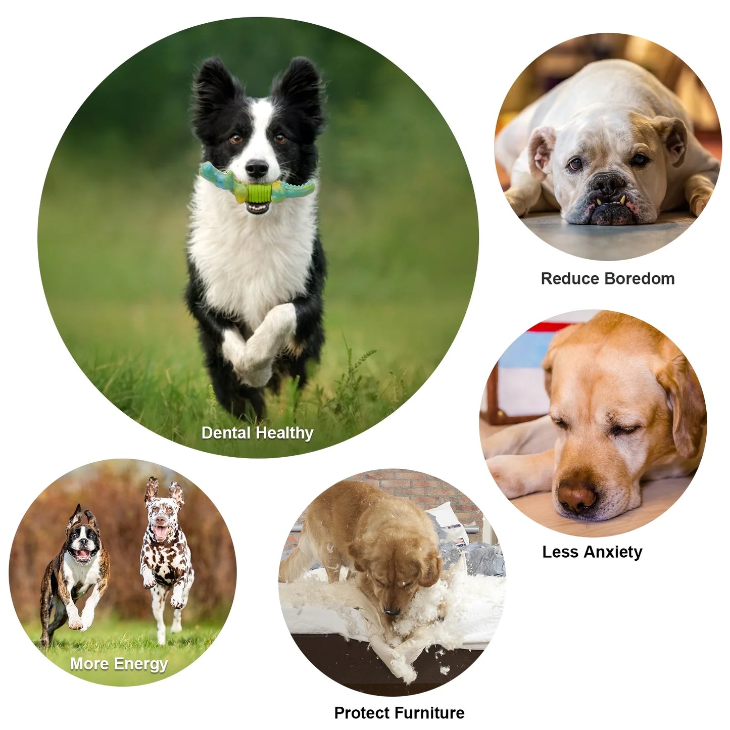 Tough Dog Toys,Dog Toys for Aggressive Chewers,Indestructible Dog Toys for Large Breed,Durable Dog Toys for Large Dogs,Bacon Flavor,Green