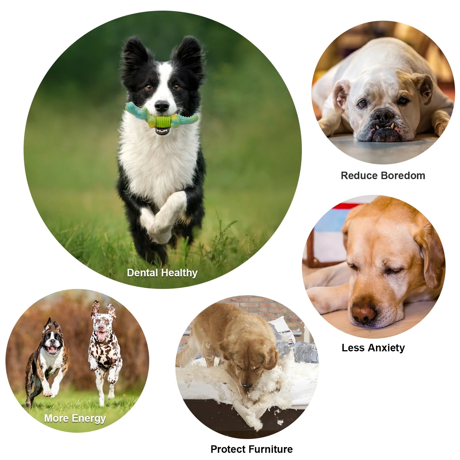 Tough Dog Toys,Dog Toys for Aggressive Chewers,Indestructible Dog Toys for Large Breed,Durable Dog Toys for Large Dogs,Bacon Flavor,Green