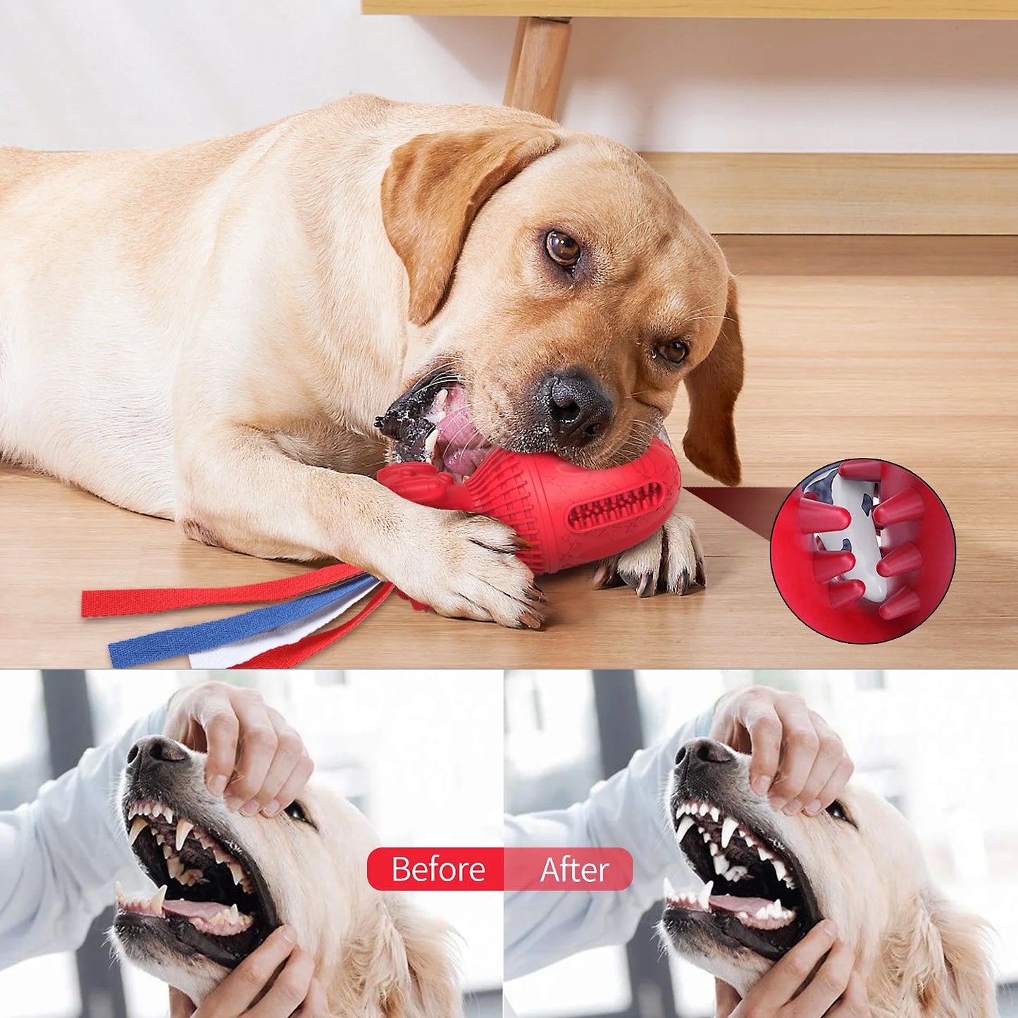 Dog Squeaky Toy for Large Medium Chewers, Interactive Dog Toys."Clearance Product, Random Color, Please Don'T Purchase If You Mind."