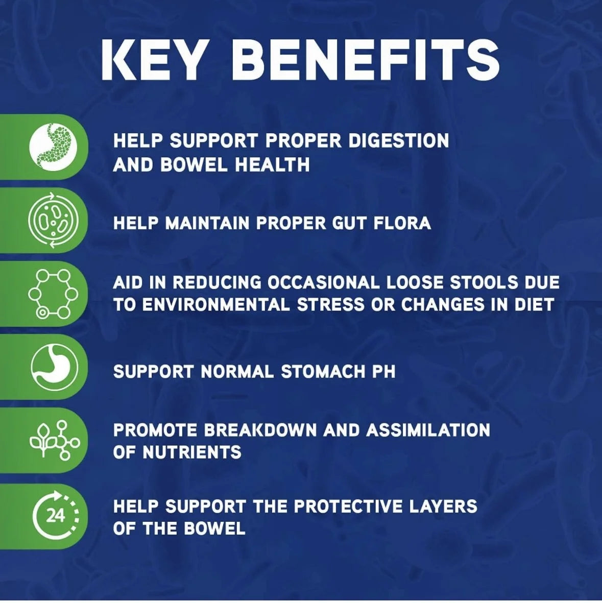 Horse Soft Chews Digestion Support, 60 Count