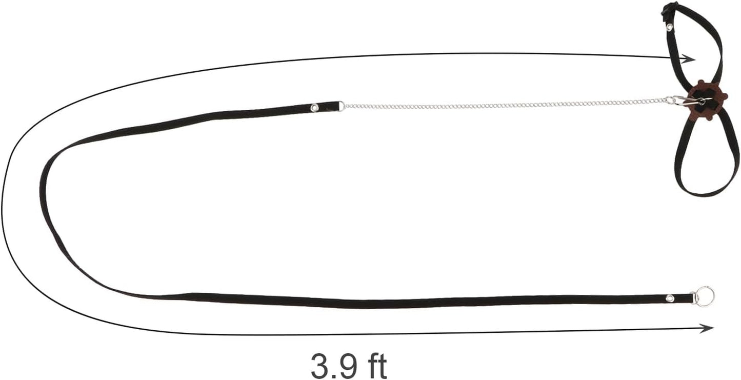 2 Pack Adjustable Reptile Harness and Leash for Lizard Gecko Bearded Dragon outside Walk (Black)