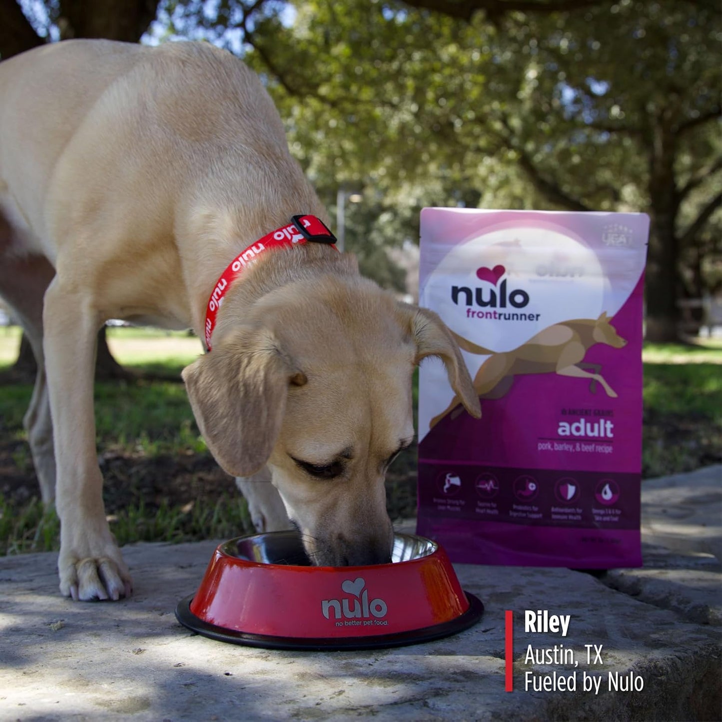 Frontrunner Ancient Grains High-Protein Dog Food, Pork, Barley, & Beef Recipe- Natural Dry Dog Food with Probiotics, Grain-Inclusive Kibble for Adult Dogs, 25 Lb Bag