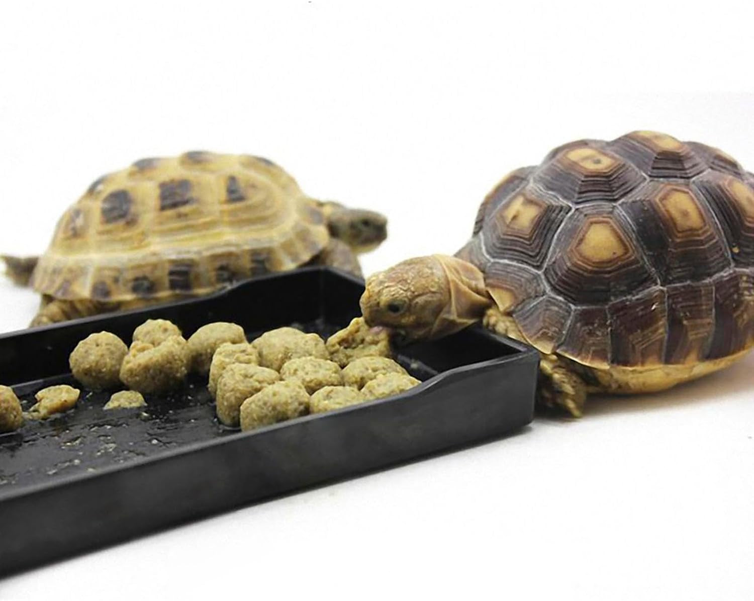 Reptile Bowl Large Food and Water Dish Enough Space Also Fit for Bath Simulated Wood Grain Surface (L, Black)