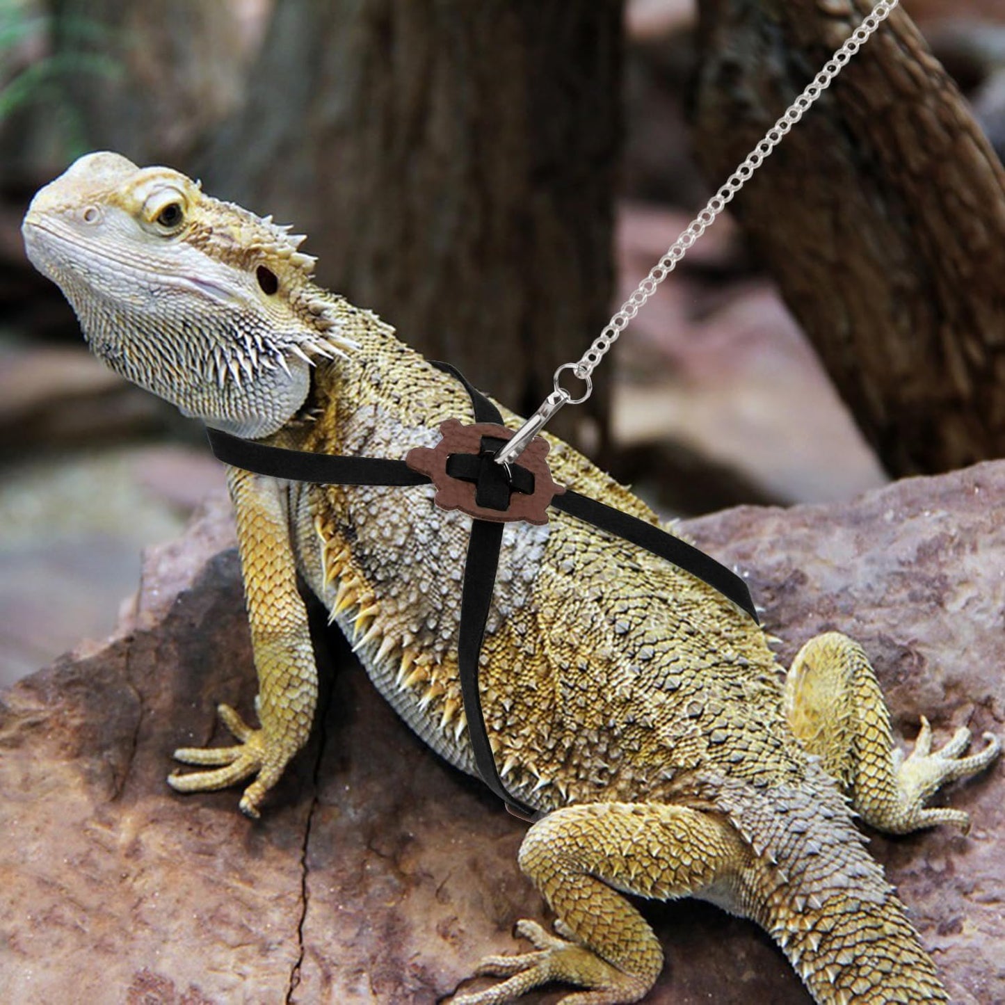 2 Pack Adjustable Reptile Harness and Leash for Lizard Gecko Bearded Dragon outside Walk (Black)