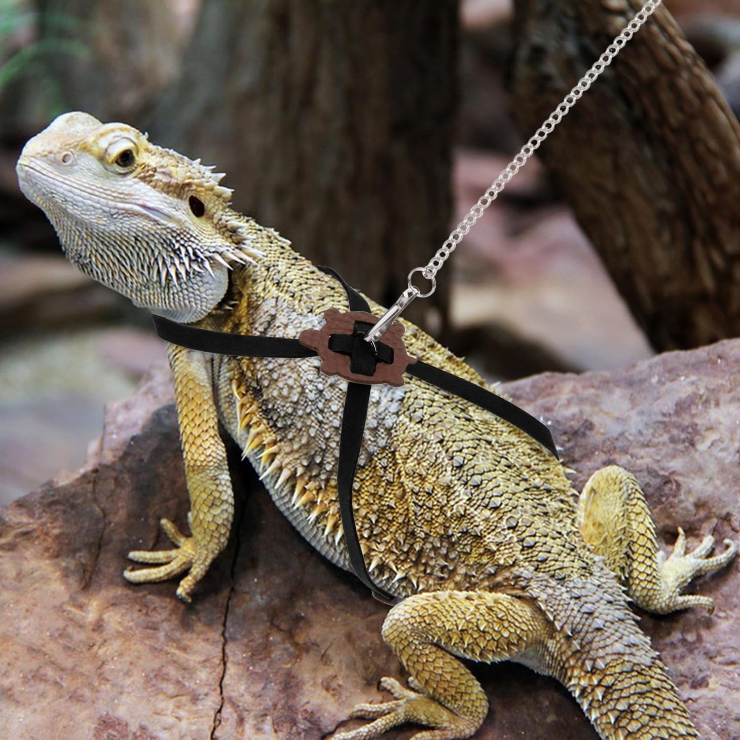 2 Pack Adjustable Reptile Harness and Leash for Lizard Gecko Bearded Dragon outside Walk (Black)
