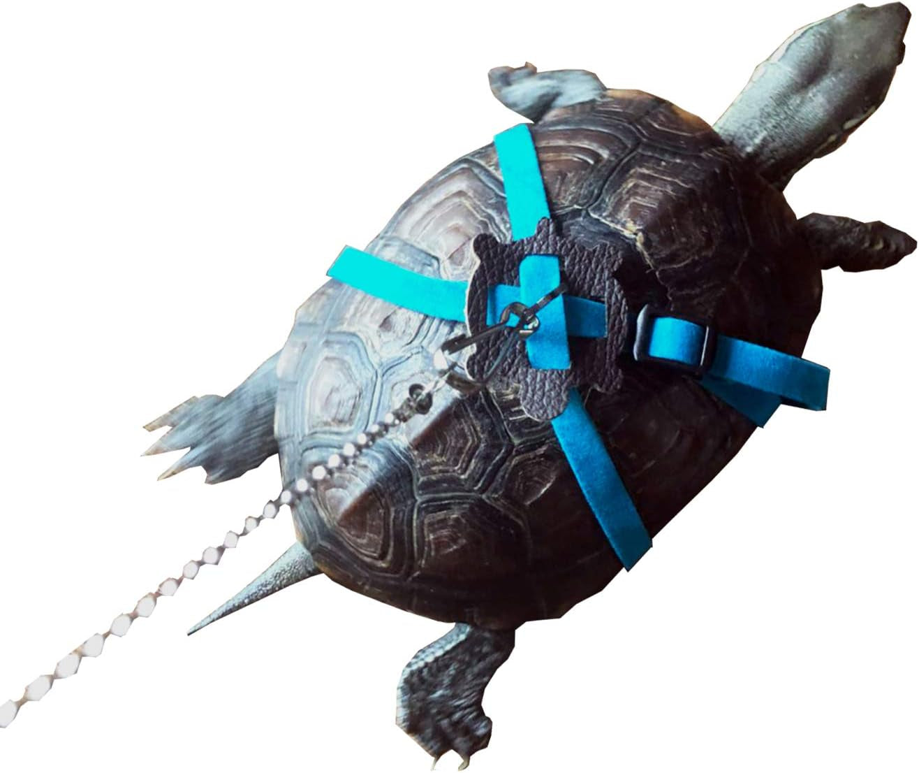Turtle Leash Lizard Leash Tortoise Harness Strap Pet Collar Leash Tortoise Walking Lead Control Rope M