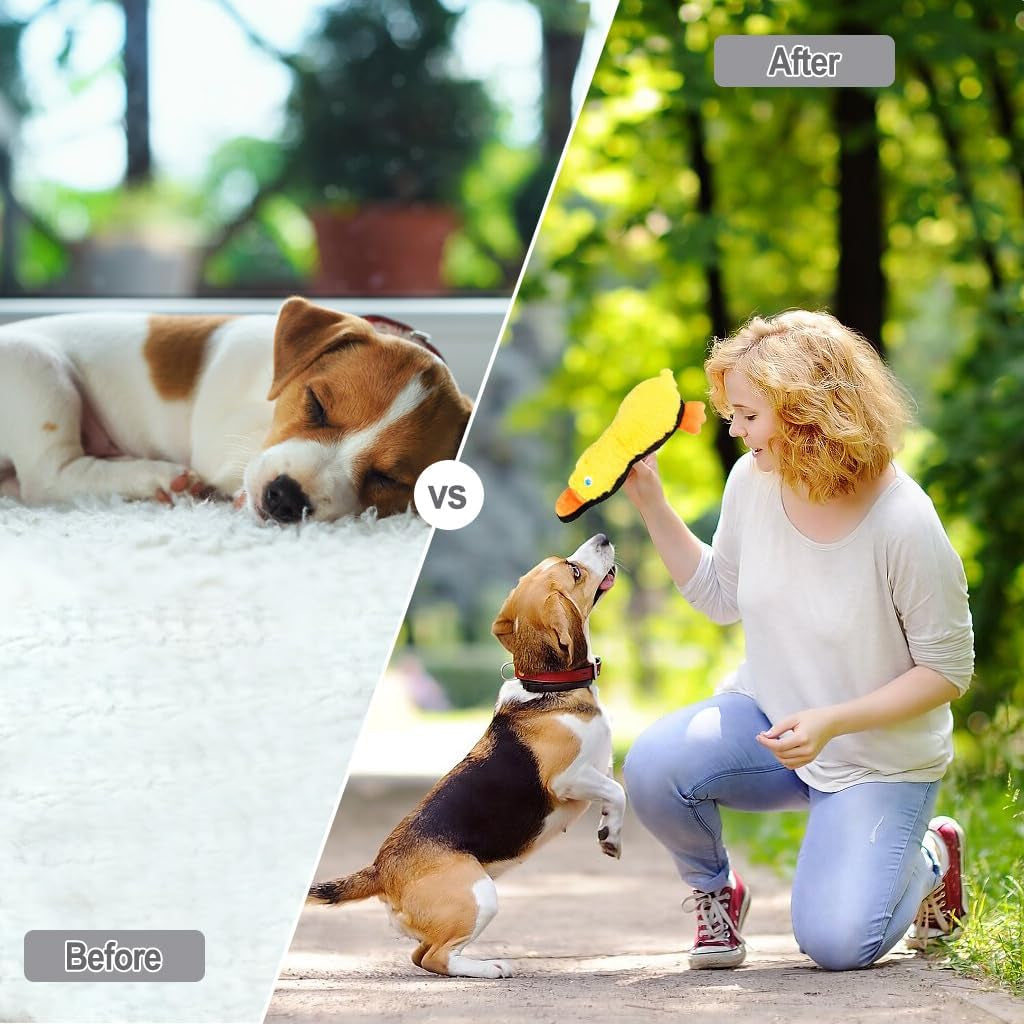 Dog Toy Squeaky Plush Chew Toys for Aggressive Chewers, Interactive Puppy Toys for Small, Medium, Large Dogs, Durable Stuffed Animal Toy with Mental Stimulation