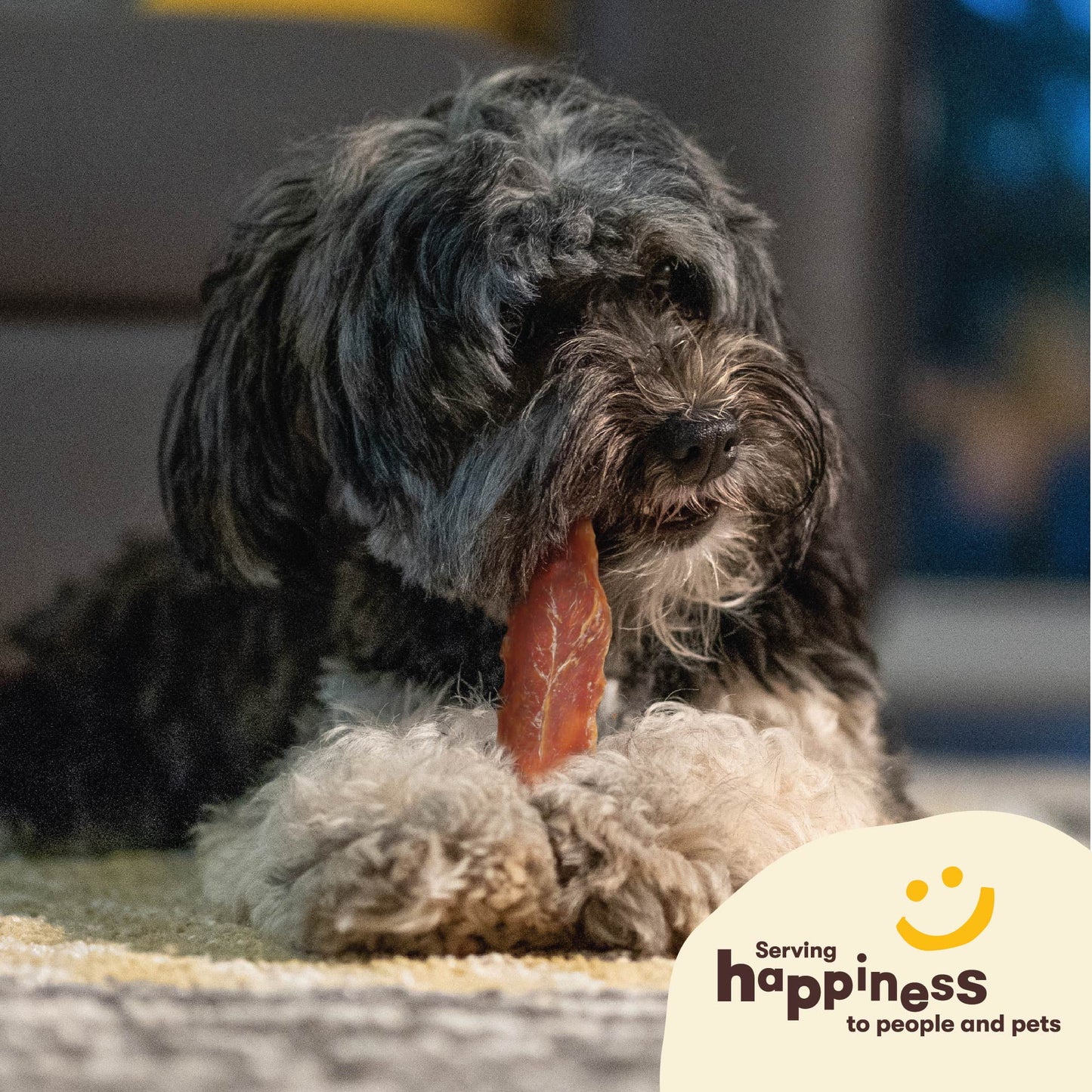 Chik 'N Breast Jerky Treats - Naturally Delicious Chicken Dog Treats, 2 Pound