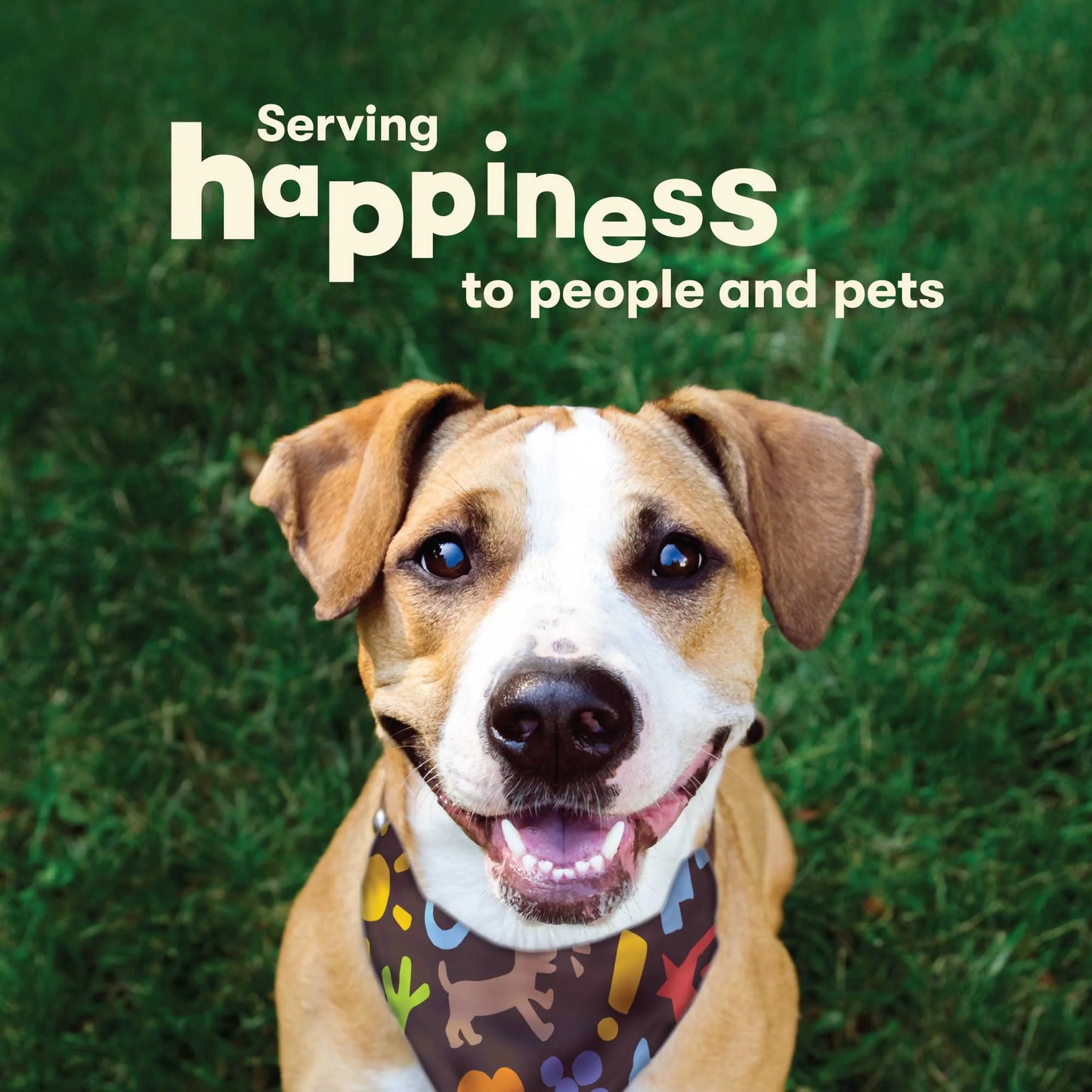 Hide Twists - Chicken Wrapped Rawhide Dog Treats - Small Twist - 1 Pound