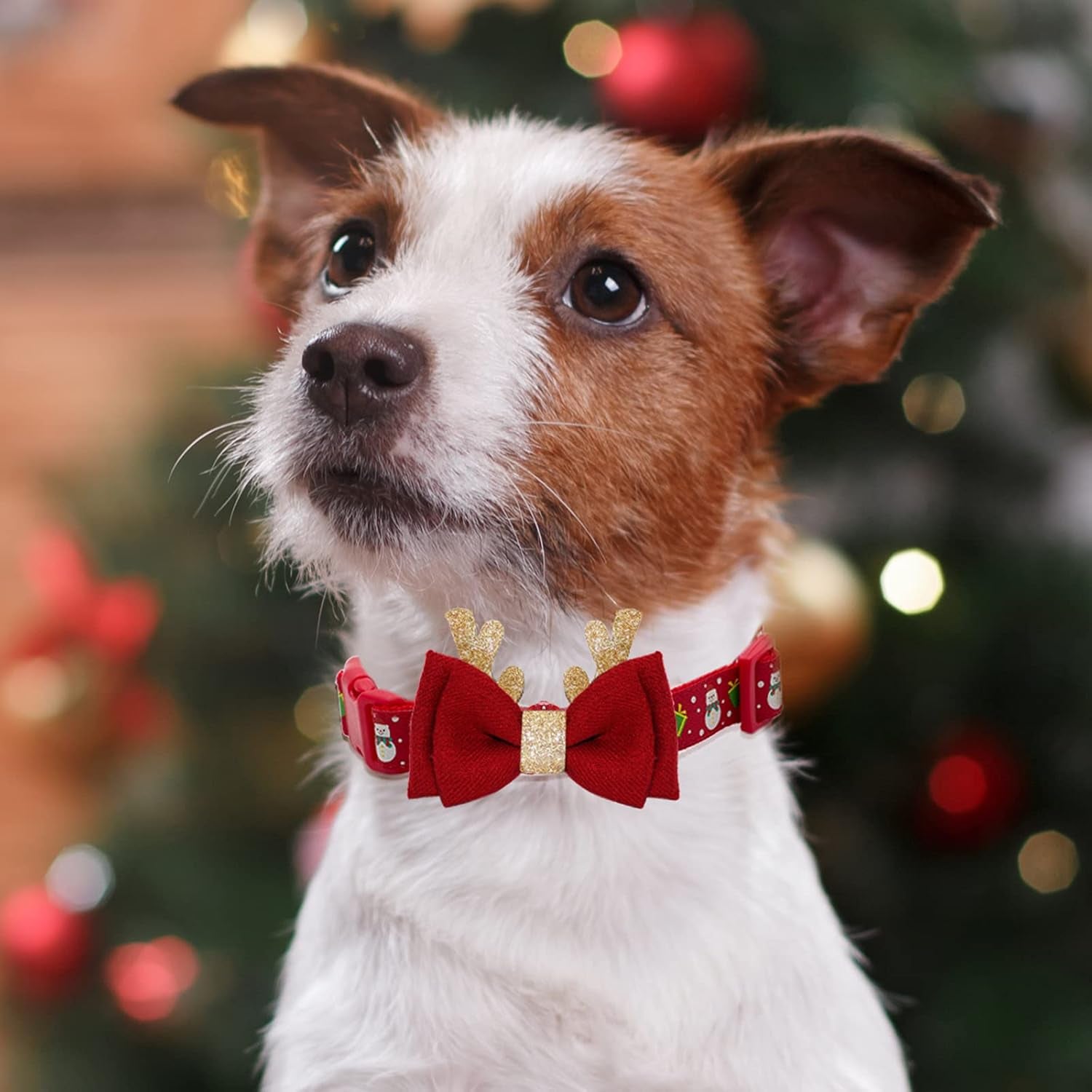 Adjustable Christmas Dog Collar with Antler Bow Tie Accessories for Medium Dogs
