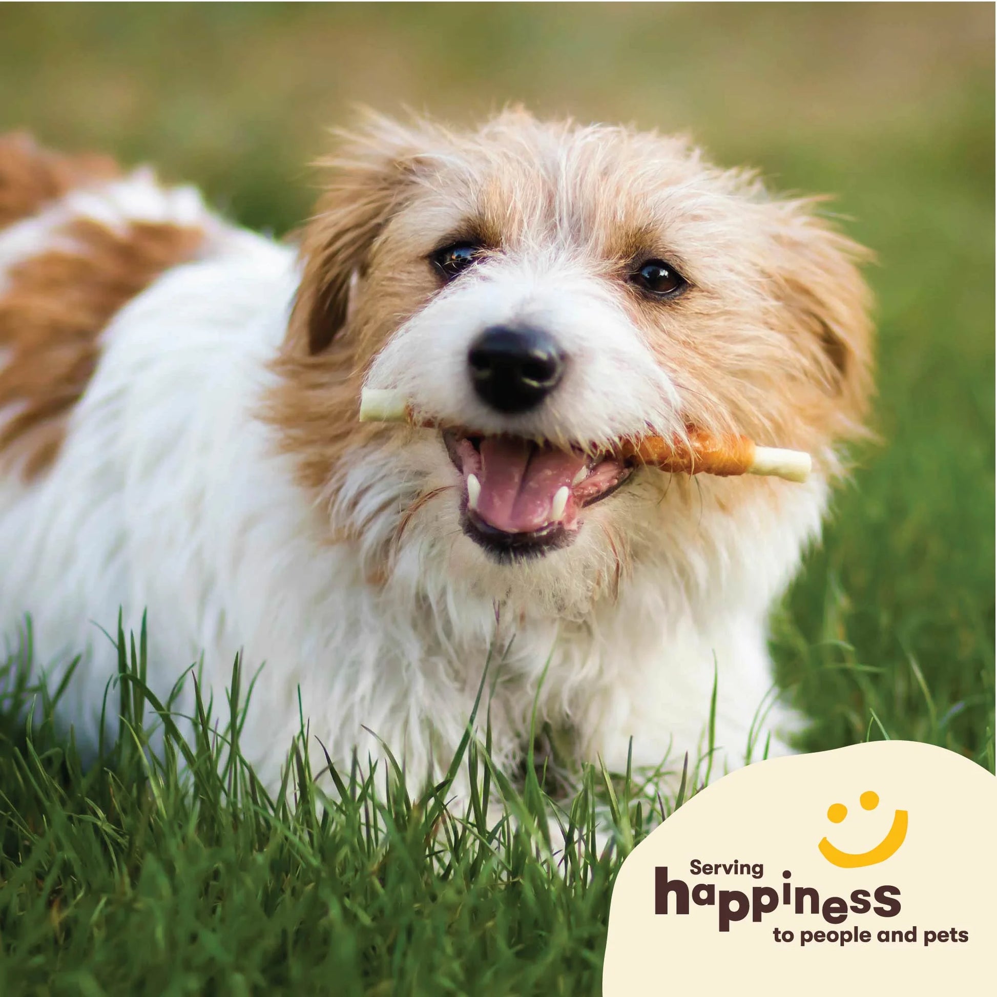 Hide Twists - Chicken Wrapped Rawhide Dog Treats - Small Twist - 1 Pound